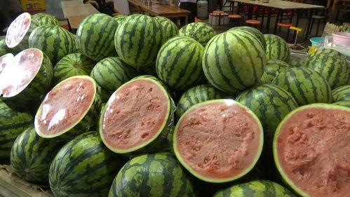 今年有什么瓜吃,年度瓜果盛宴来袭