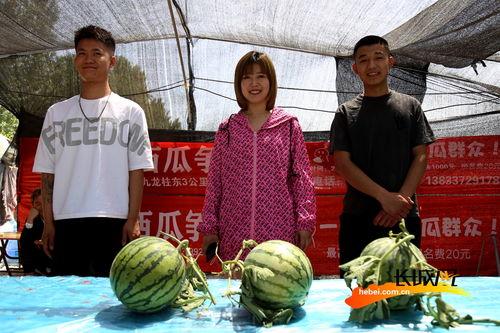 河北校园吃瓜,揭秘校园里的那些“秘密”与“趣闻”