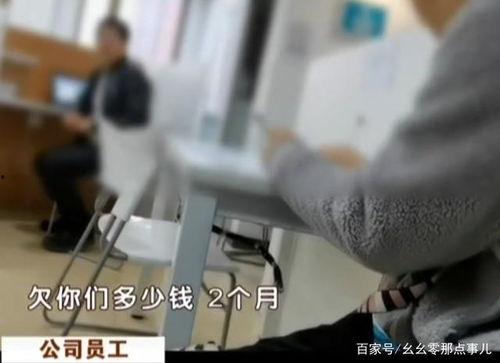 律师天天吃瓜,天天吃瓜，洞察法律风云