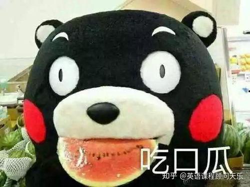 吃瓜可以怎么形容