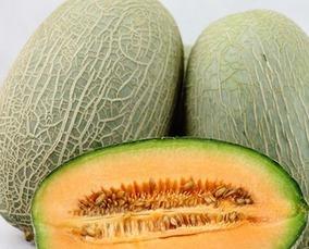 吃哈密瓜长大,哈密瓜滋养下的成长故事