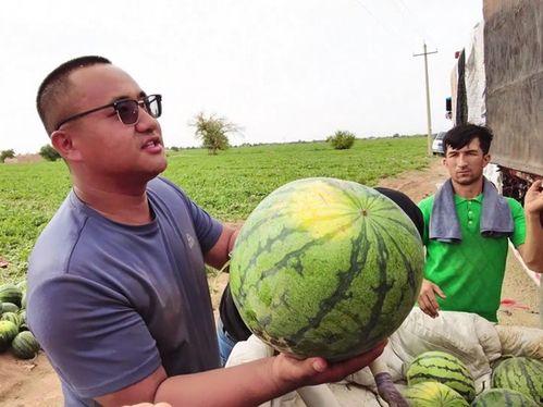 最新吃瓜舞台图片大全,明星同框，精彩瞬间尽收眼底