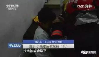 莱芜吃瓜事件视频,一场网络狂欢背后的真相与反思