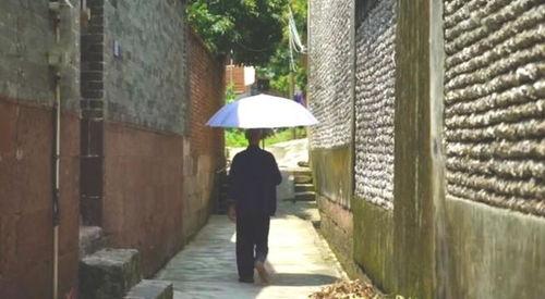 嘉定吃瓜群众事件