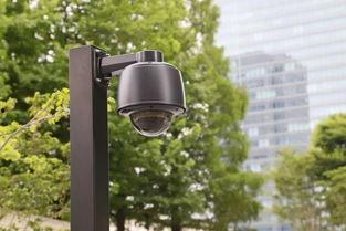 监控录像吃瓜,揭秘日常生活中的趣味瞬间