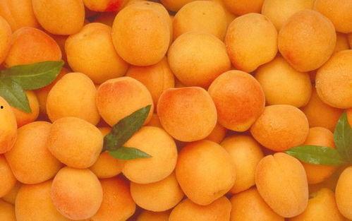 胃不好哈密瓜可以吃吗,哈密瓜还能吃吗？营养师为你解答