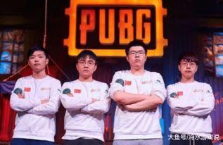 吃瓜全明星道,揭秘娱乐圈幕后故事