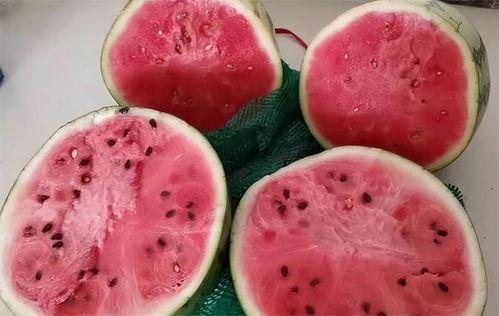 3岁小孩吃麒麟瓜,萌态可掬萌翻众人