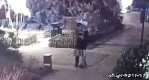 吃瓜视频完整内容,揭秘娱乐圈幕后真相，带你领略明星生活百态