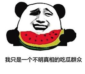 微笑发呆吃瓜群众,揭秘现代都市人的闲适生活态度