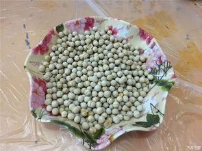 威海五一免费吃瓜,五一威海免费畅享瓜果盛宴