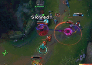 联盟吃瓜事件真相,揭秘背后真相与影响