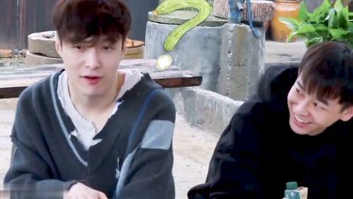 吃瓜在线嗑cp,揭秘网络追星族的甜蜜狂欢