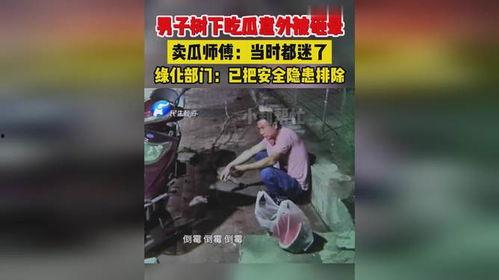 吃瓜意外成光遇,光遇世界里的奇妙际遇