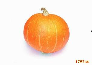 今日必吃大瓜每日吃瓜,每日吃瓜，畅享娱乐盛宴