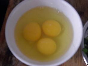 吃虾可以吃茭瓜吗,美味搭配的饮食探索