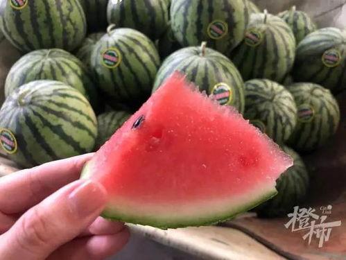 吃神秘瓜,探寻未知果实的奇幻之旅