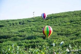彩虹朋友吃瓜人,吃瓜人生，笑对人生百态