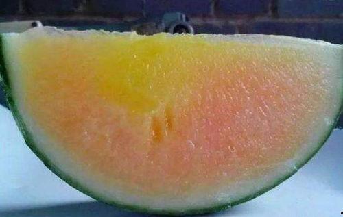 彩虹朋友吃瓜人,吃瓜人生，笑对人生百态