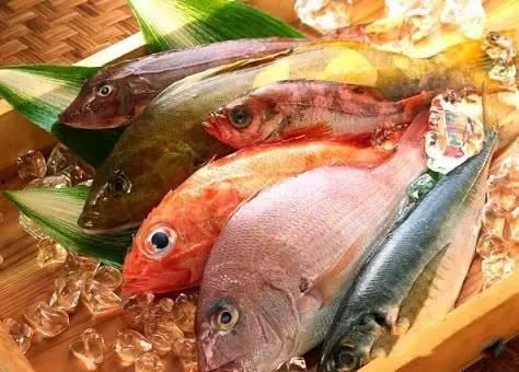 鱼爪吃瓜大赛,瓜界巅峰对决！