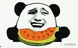 和广大人民群众一起吃瓜,共品瓜香——走进百姓生活