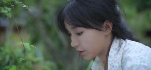 柒柒吃瓜,揭秘娱乐圈那些不为人知的幕后故事