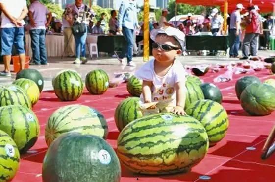 万嘉吃瓜大赛